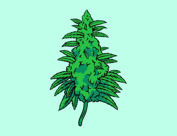 Medical Cannabis Leaf Plant Graphics and Illustrations